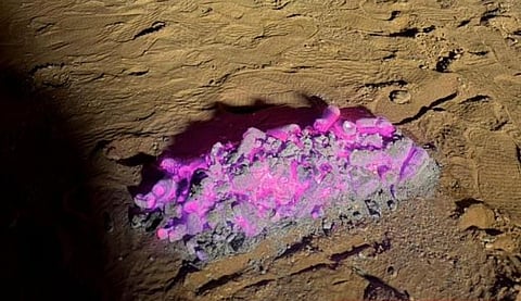 ضبط مخالف لإشعاله النار في الأماكن غير المخصصة بمحمية طويق الطبيعية