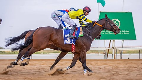 «أبر كلاس» يتوج بكأس الحفل الخامس عشر بميدان الملك سعود للفروسية بالقصيم