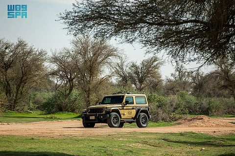«الداخلية» تعزز مفاهيم حماية البيئة وإنفاذ الأنظمة ودعم جهود تنمية الغطاء النباتي في المملكة وتحسين جودة الحياة