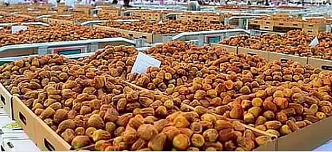 «الشؤون الإسلامية» تسلم هدية خادم الحرمين الشريفين من التمور لجمهوريتي ألمانيا والبرتغال