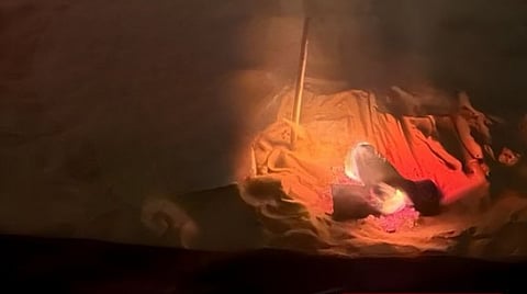 «الأمن البيئي» تضبط مواطنًا مخالفًا لنظام البيئة في المدينة المنورة