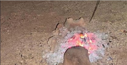 محمية الأمير محمد بن سلمان الملكية