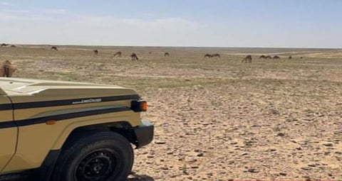 ضبط مواطن لارتكابه مخالفة رعي بمحمية الملك عبدالعزيز الملكية