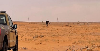 محمية الإمام عبدالعزيز بن محمد الملكية