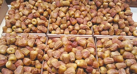 بنحو 584 ألف طن و30 صنفًا.. تمور القصيم تُزيّن موائد رمضان بتنوع وفوائد غذائية
