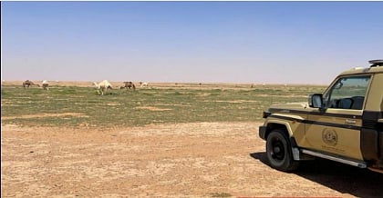 محمية الملك عبدالعزيز الملكية