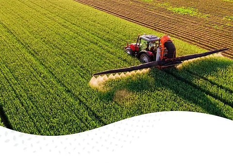 الهيئة العامة للأمن الغذائي ترسي الدفعة الثانية من القمح المستورد لعام 2026