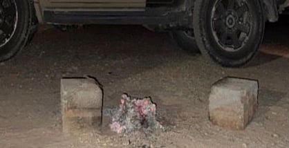 محمية الإمام عبدالعزيز بن محمد الملكية