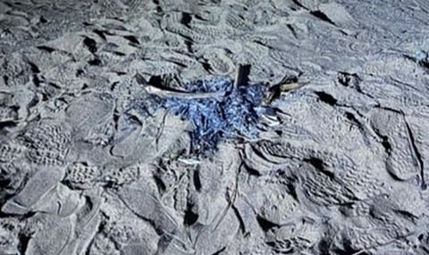 ضبط مواطن لإشعاله النار في غير الأماكن المخصصة لها بمنطقة المدينة المنورة