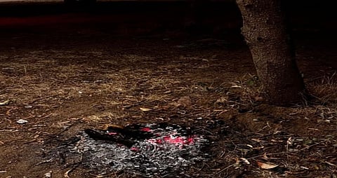 ضبط مواطن مخالف لنظام البيئة لإشعاله النار في غير الأماكن المخصصة بعسير