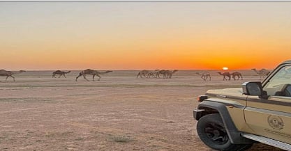 محمية الملك عبدالعزيز الملكية