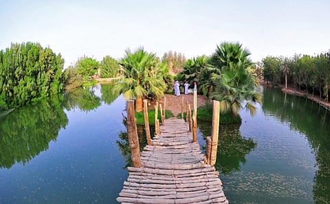 القصيم.. وجهة سياحية تتجدد مع كل فصل من فصول السنة