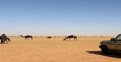 محمية الإمام عبدالعزيز بن محمد الملكية