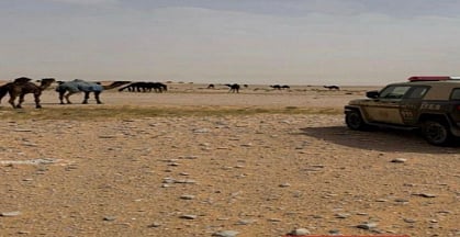 محمية الإمام عبدالعزيز بن محمد الملكية