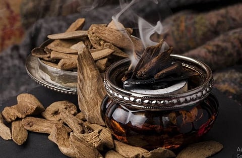 استشاري يحذر من استخدام البخور والفواحات لساعات طويلة 