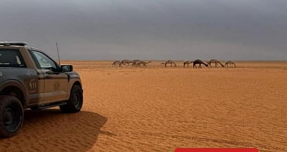 محمية الإمام عبدالعزيز بن محمد الملكية