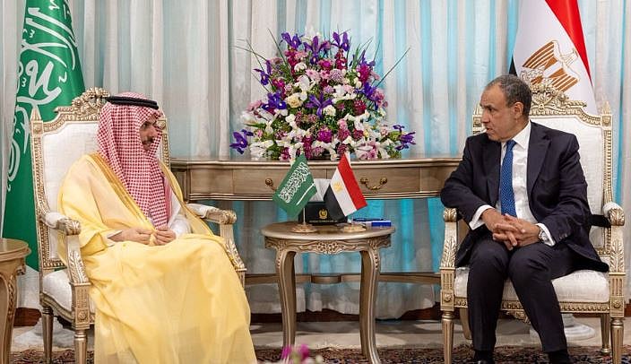 وزير الخارجية يلتقي نظيره المصري في إسلام آباد ويبحثان المستجدات الإقليمية