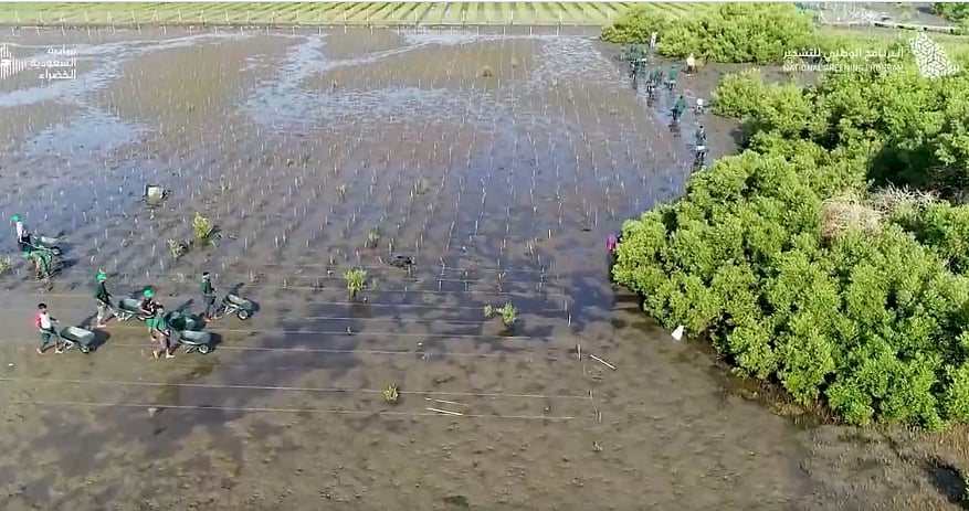 وزارة الاستثمار: تأهيل مليون هكتار من الأراضي يعزز مسيرة التنمية المستدامة وأهداف رؤية 2030