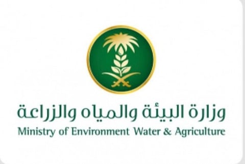 عبر منصة نما.. ما هي خدمة الاستعلام عن العقود الاستثمارية وكيفية الاستفادة منها