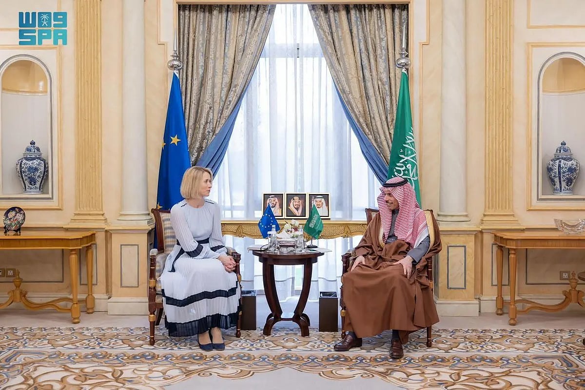 وزير الخارجية يستقبل الممثلة العليا للاتحاد الأوروبي لبحث الشراكة الإستراتيجية والأوضاع الإقليمية