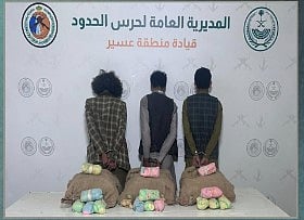 حرس الحدود بعسير يقبض على 3 يمنيين لتهريبهم 60 كيلوجراما من القات المخدر