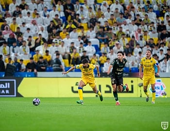 الحزم والفيحاء