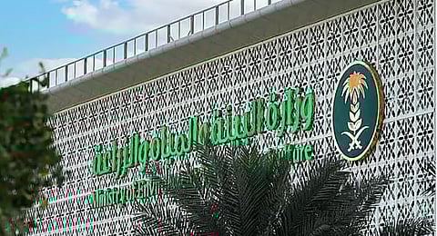 تشمل أنشطة زراعية وحيوانية.. «البيئة» تطرح 5 فرص استثمارية في 4 مناطق