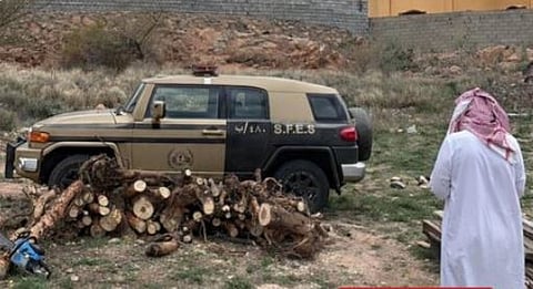 «الأمن البيئي» تضبط مواطنا لتخزينه الحطب المحلي في عسير