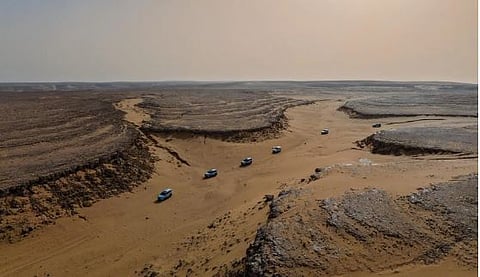 «الحياة الفطرية» يدشن مسار كندة السياحي بمحمية عروق بني معارض