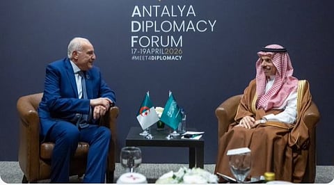 وزير الخارجية يبحث مع نظيره الجزائري مستجدات الأوضاع الإقليمية والموضوعات ذات الاهتمام المشترك