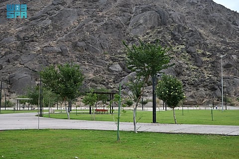 متنزه الصفا.. واجهة سياحية وترفيهية رائدة في غرب نجران