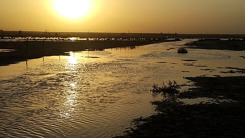 بالصور.. جمال الطبيعة يجذب الزوار إلى شعيب ضيده بالقصيم