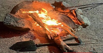 محمية الأمير محمد بن سلمان الملكية