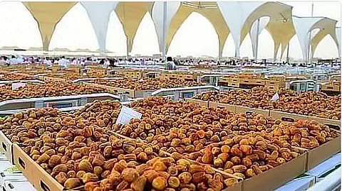 ارتفاع قيمة صادرات التمور السعودية إلى الصين بنسبة 39%