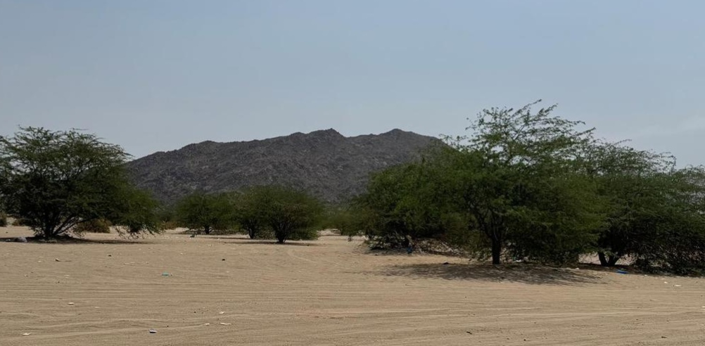 متنزه وادي المغمس البري.. لوحة طبيعية تعزز السياحة البيئية في مكة المكرمة