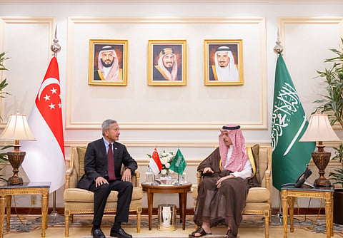 وزير الخارجية ونظيره السنغافوري يبحثان دعم جهود حماية الممرات المائية