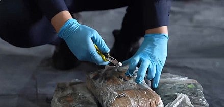 جمرك ميناء جدة الإسلامي يُحبط تهريب أكثر من 8 كيلوغرامات من الكوكايين