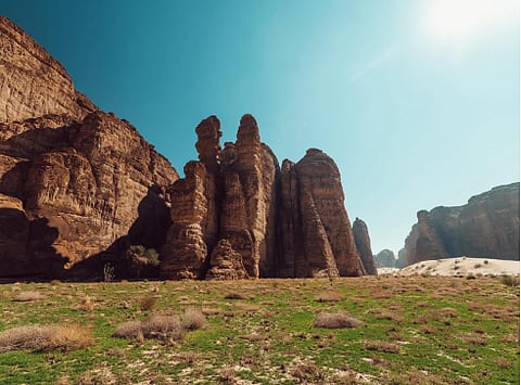 محمية شرعان بالعُلا.. تنوّع طبيعي يعزز استدامة النظم البيئية
