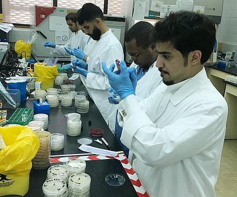 «مختبرات الغذاء والدواء»: استعدادات مكثفة وتشغيل مستمر لدعم سلامة ضيوف الرحمن خلال موسم الحج