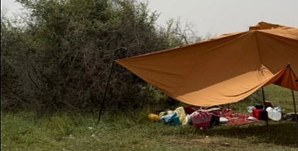 محمية الملك عبدالعزيز الملكية