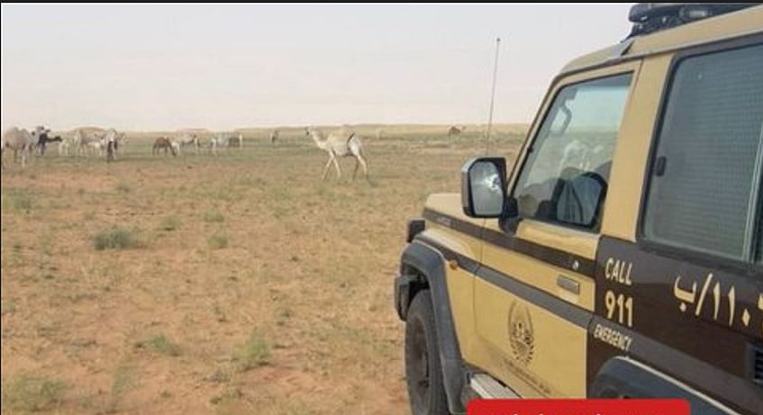ضبط مواطن لارتكابه مخالفة رعي في محمية الإمام عبدالعزيز بن محمد الملكية