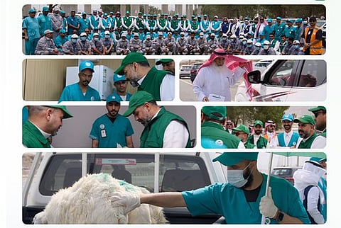 «وقاء» يرفع جاهزية الفرق الميدانية استعدادًا لموسم حج 1447هـ بمكة المكرمة