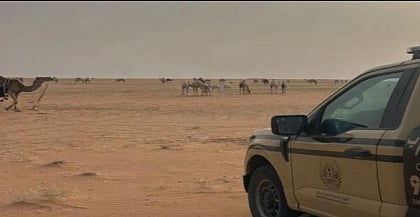 محمية الإمام عبدالعزيز بن محمد الملكية 