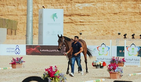 اليوم.. اتحاد الفروسية ينظم نهائي دوري قفز الحواجز بالرياض 