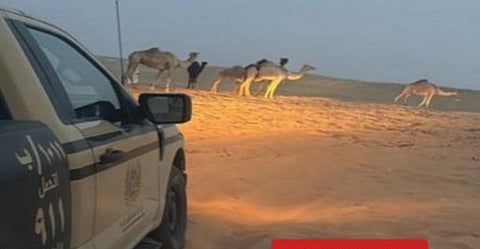 ضبط مواطن لارتكابه مخالفة رعي في محمية الإمام عبدالعزيز بن محمد الملكية