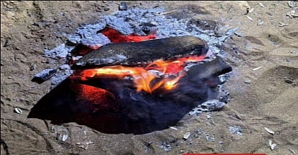 محمية الإمام فيصل بن تركي الملكية