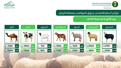 «بيئة الرياض»: وفرة كبيرة في الأضاحي واستقرار بالأسعار مع تعزيز الجولات الرقابية

