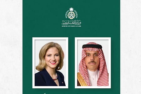 وزير الخارجية يبحث المستجدات الإقليمية مع نظيرته النمساوية 