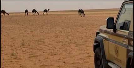 محمية الإمام عبدالعزيز بن محمد الملكية 
