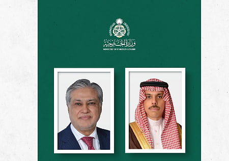 وزير الخارجية يبحث مستجدات التطورات الإقليمية مع نظيره الباكستاني 